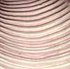 (concentric ridges)