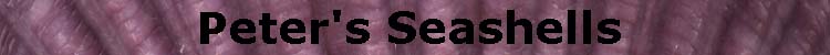 (Peter's Seashells)