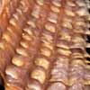 (scales)